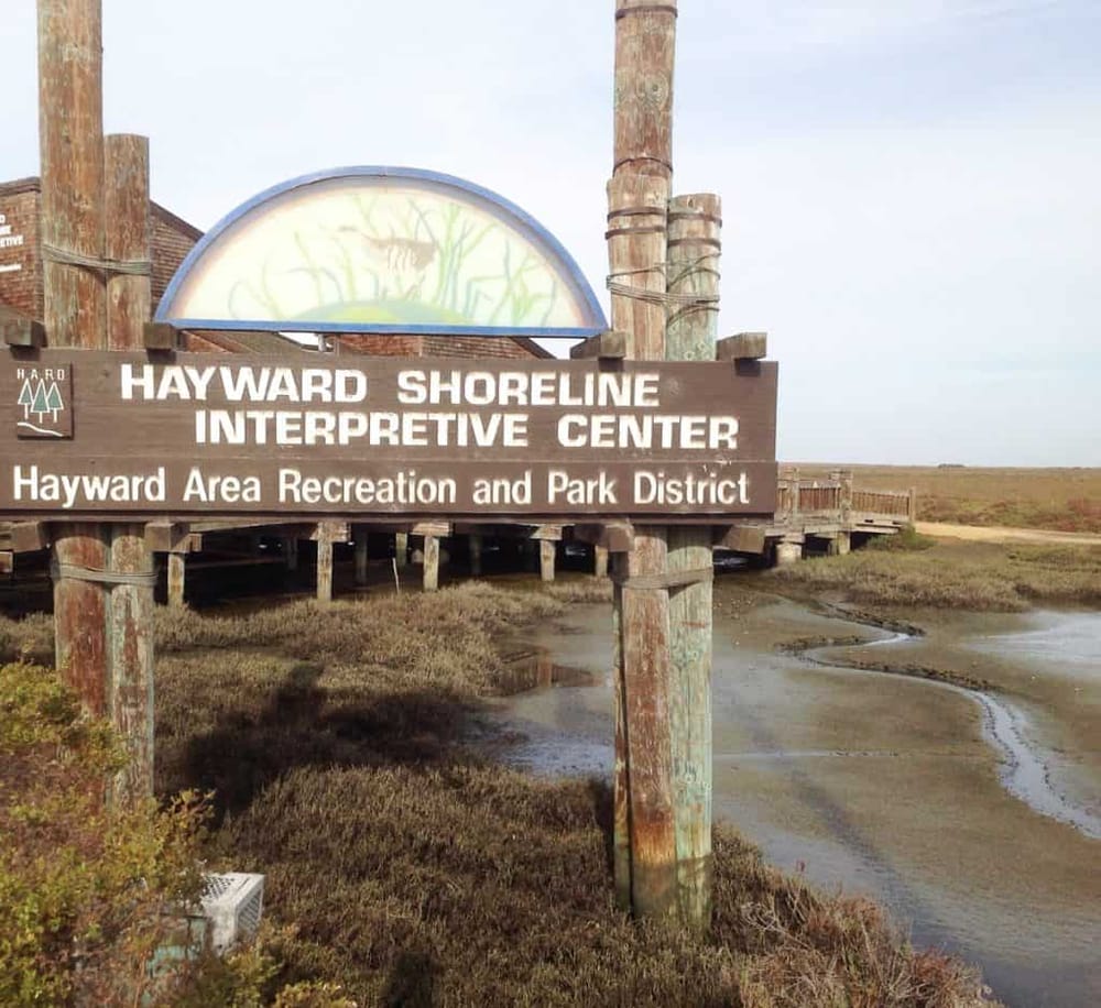 Hayward Shoreline Interpretive Center