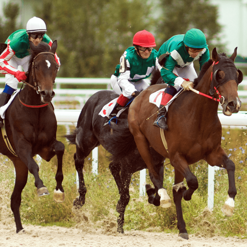 Hialeah Park Racing & Casino