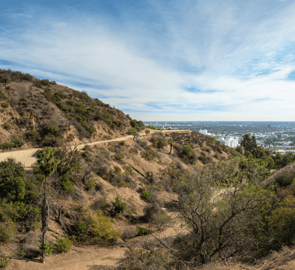 Runyon Canyon Park