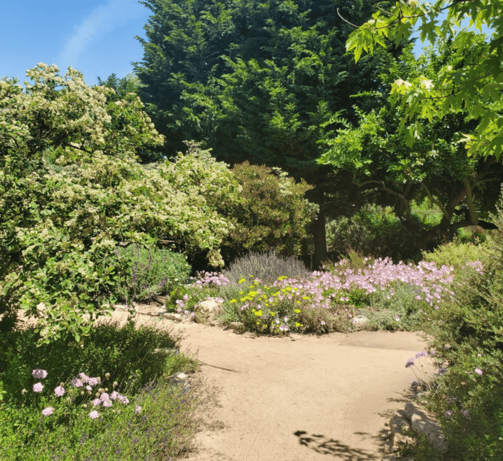 Relax at the Secret Garden Spa