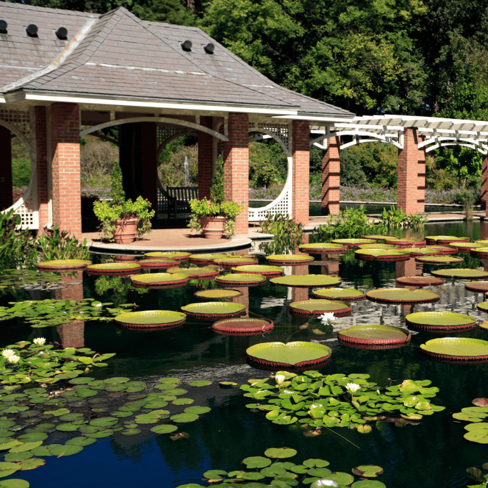 Huntsville Botanical Garden