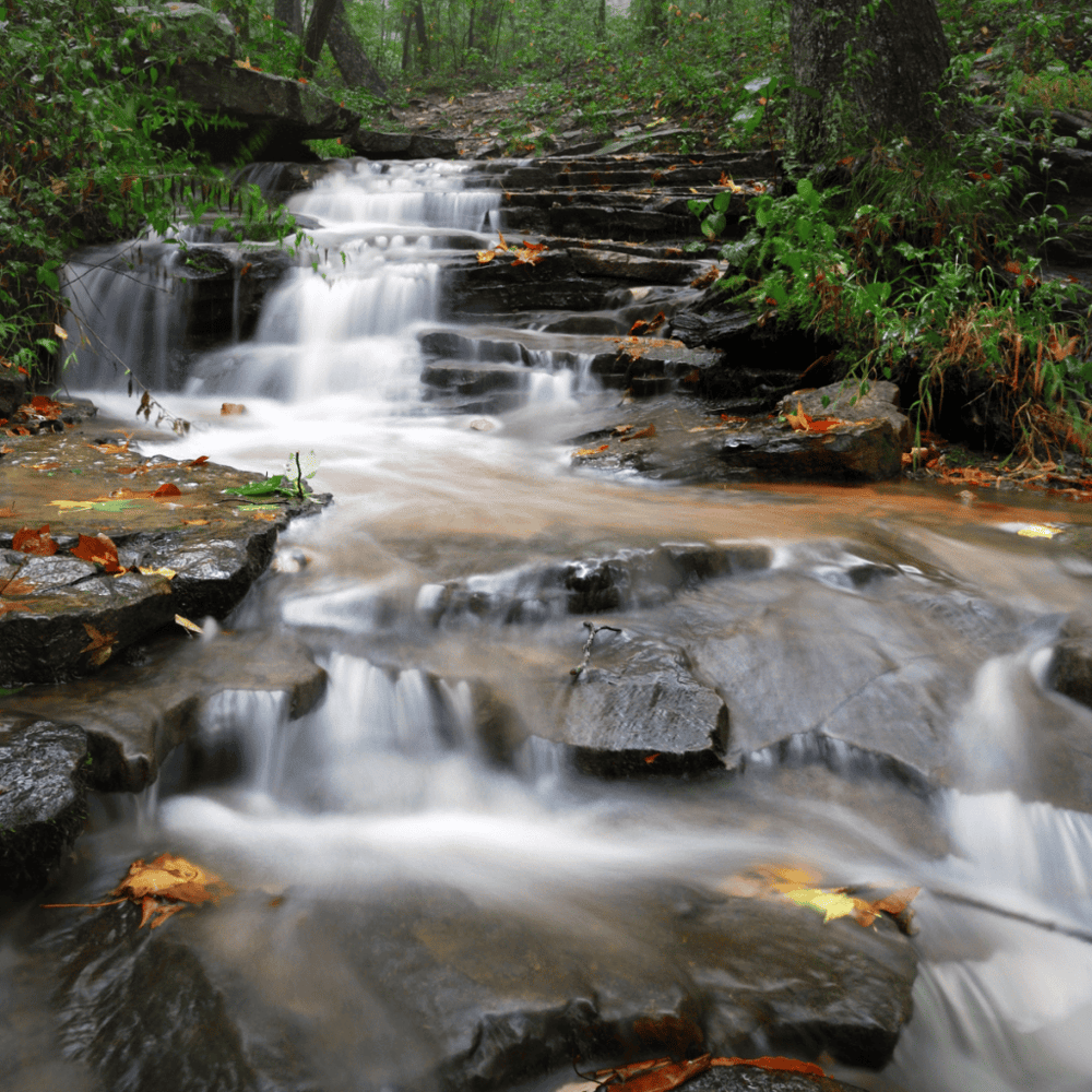 Land Trust of North Alabama