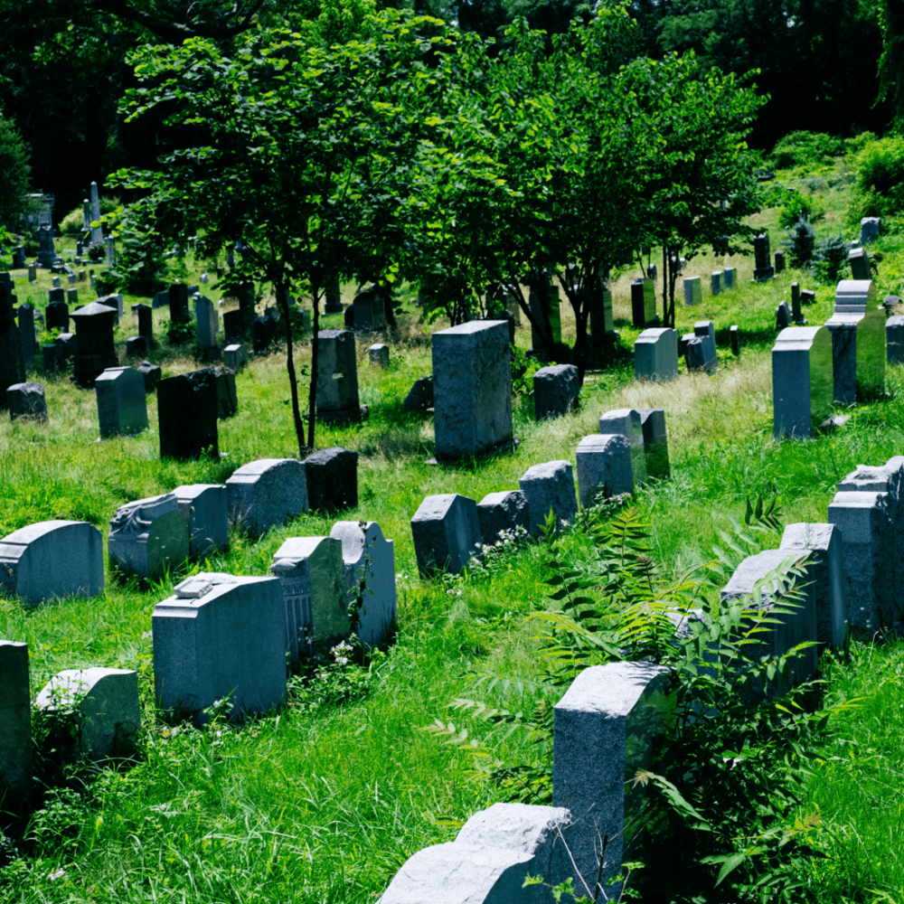 Historic Jersey City and Harsimus Cemetery