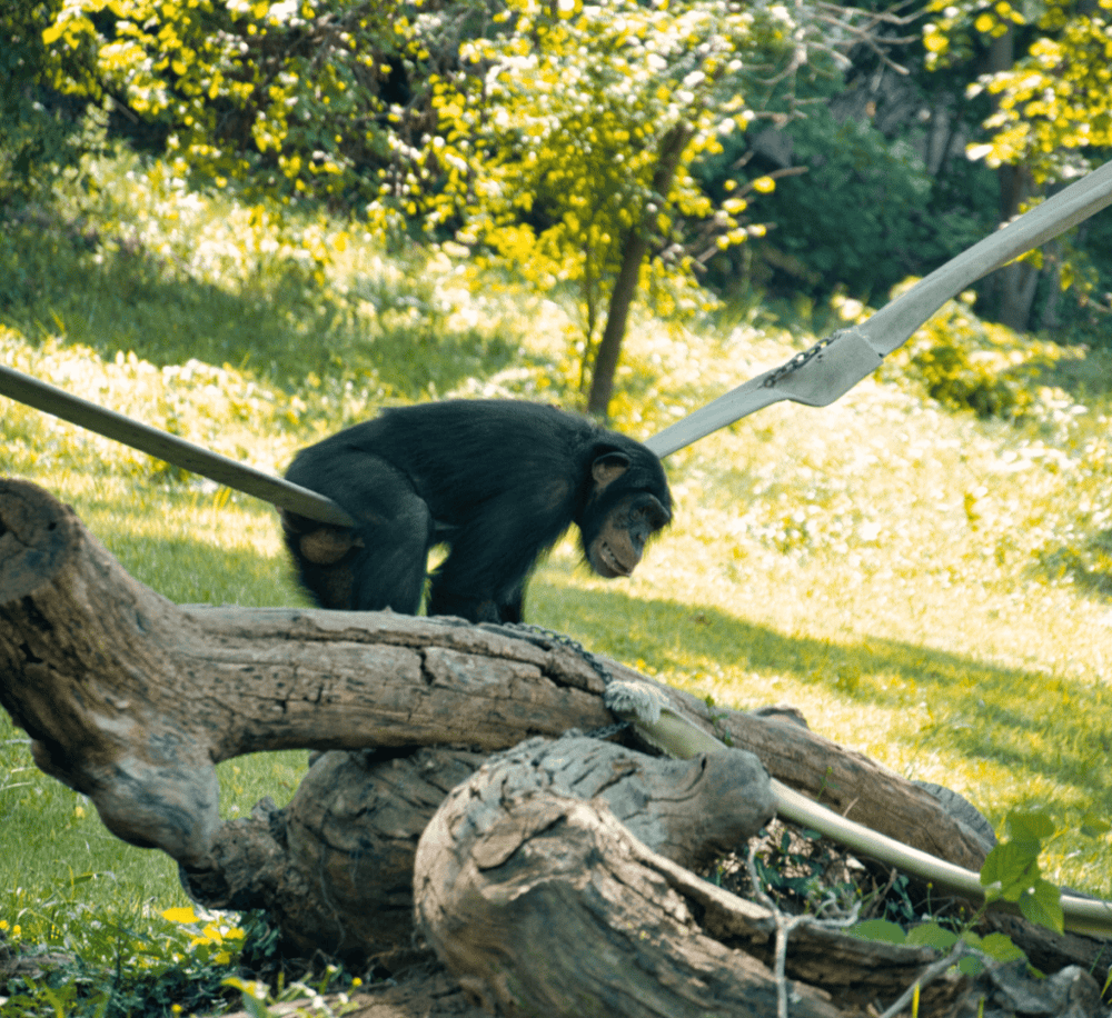 Kansas City Zoo & Aquarium
