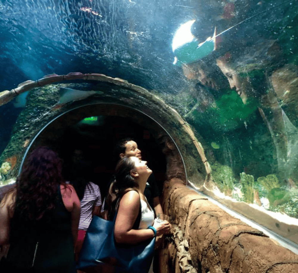 SEA LIFE Kansas City Aquarium