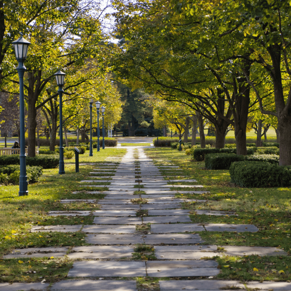 Nelson-Atkins Museum of Art