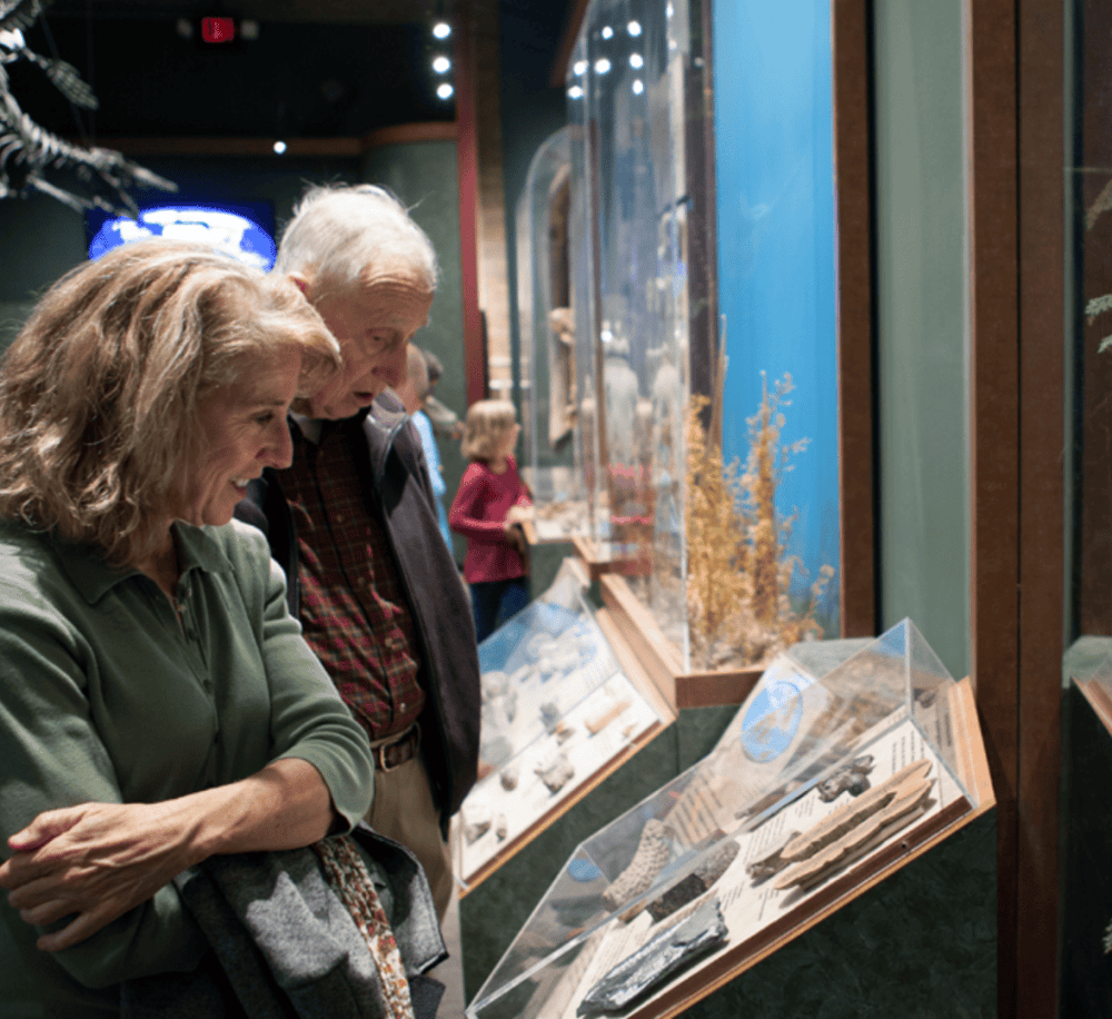 McClung Museum of Natural History and Culture