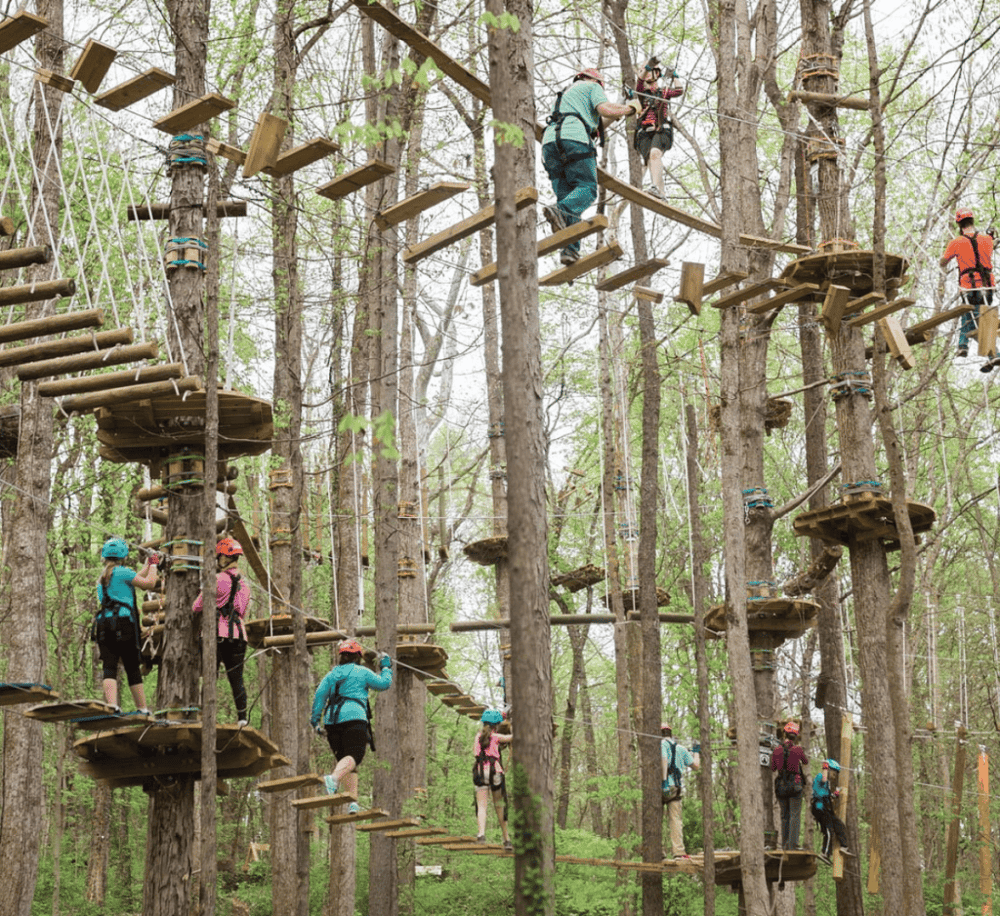 Navitat Canopy Adventures