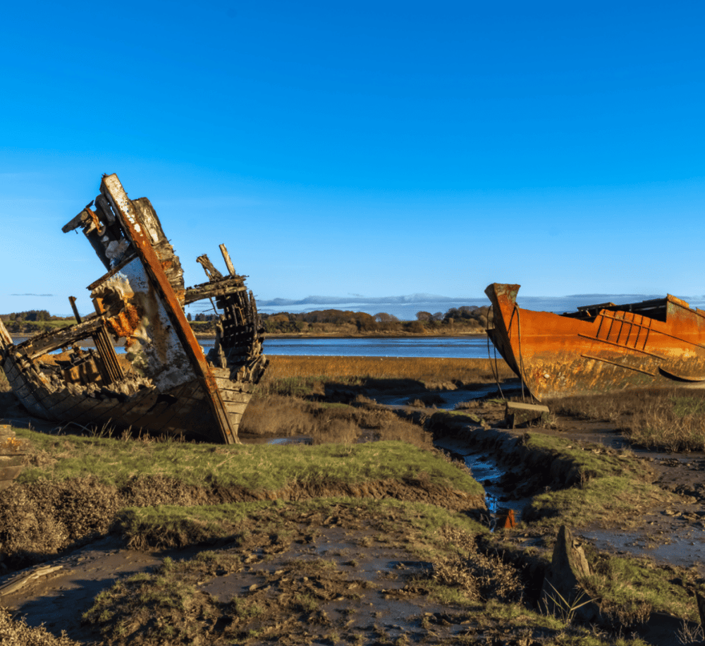 Fleetwood Marsh Nature Reserve