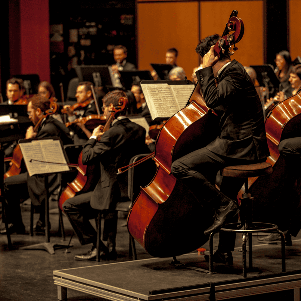 Laredo Philharmonic Orchestra