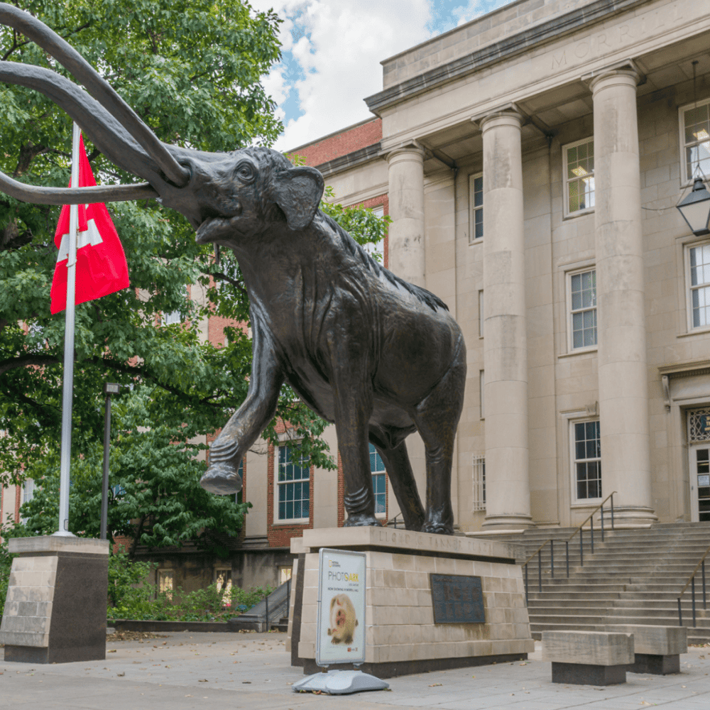 University of Nebraska State Museum