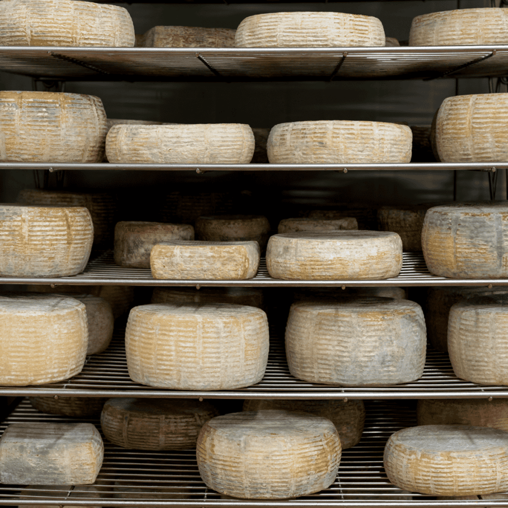 Kent Walker Artisan Cheese