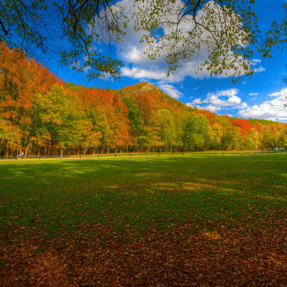 Pinnacle Mountain State Park