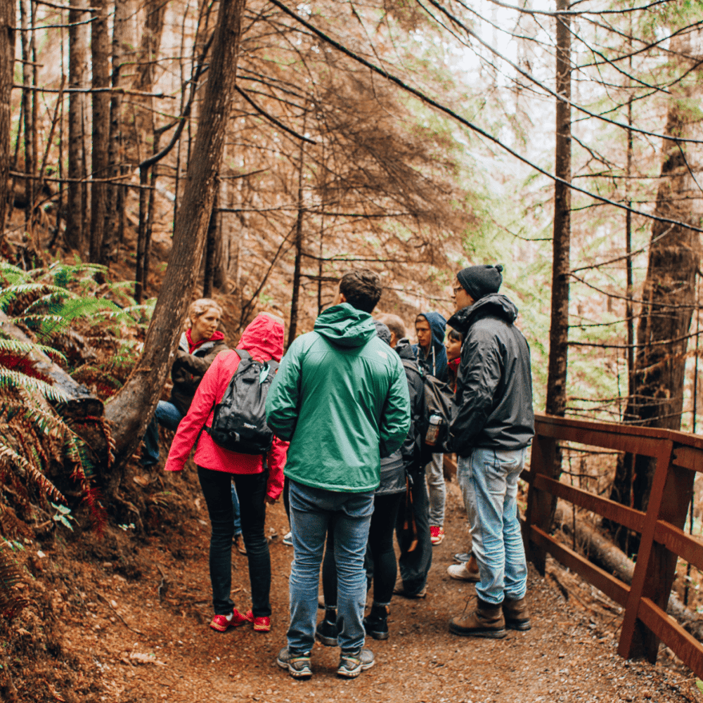 Jefferson Memorial Forest
