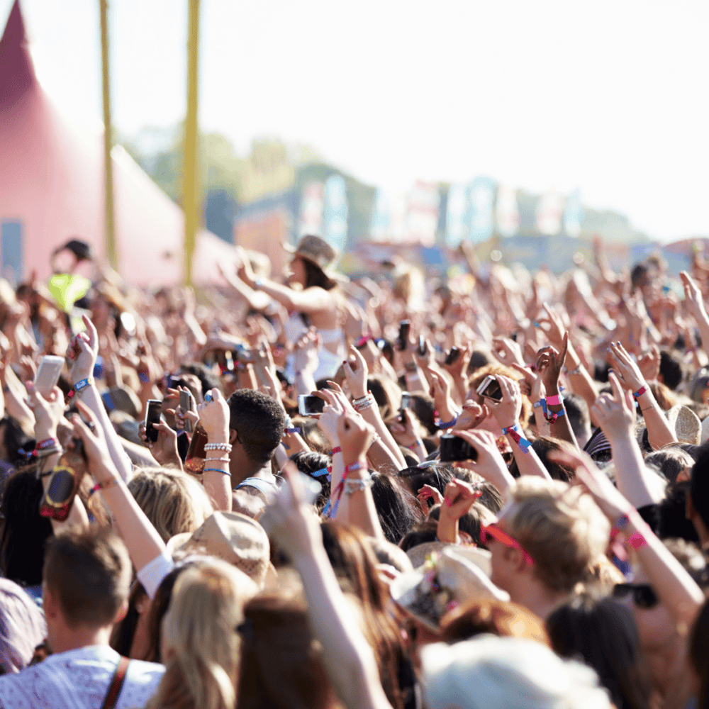 Music Festivals 
