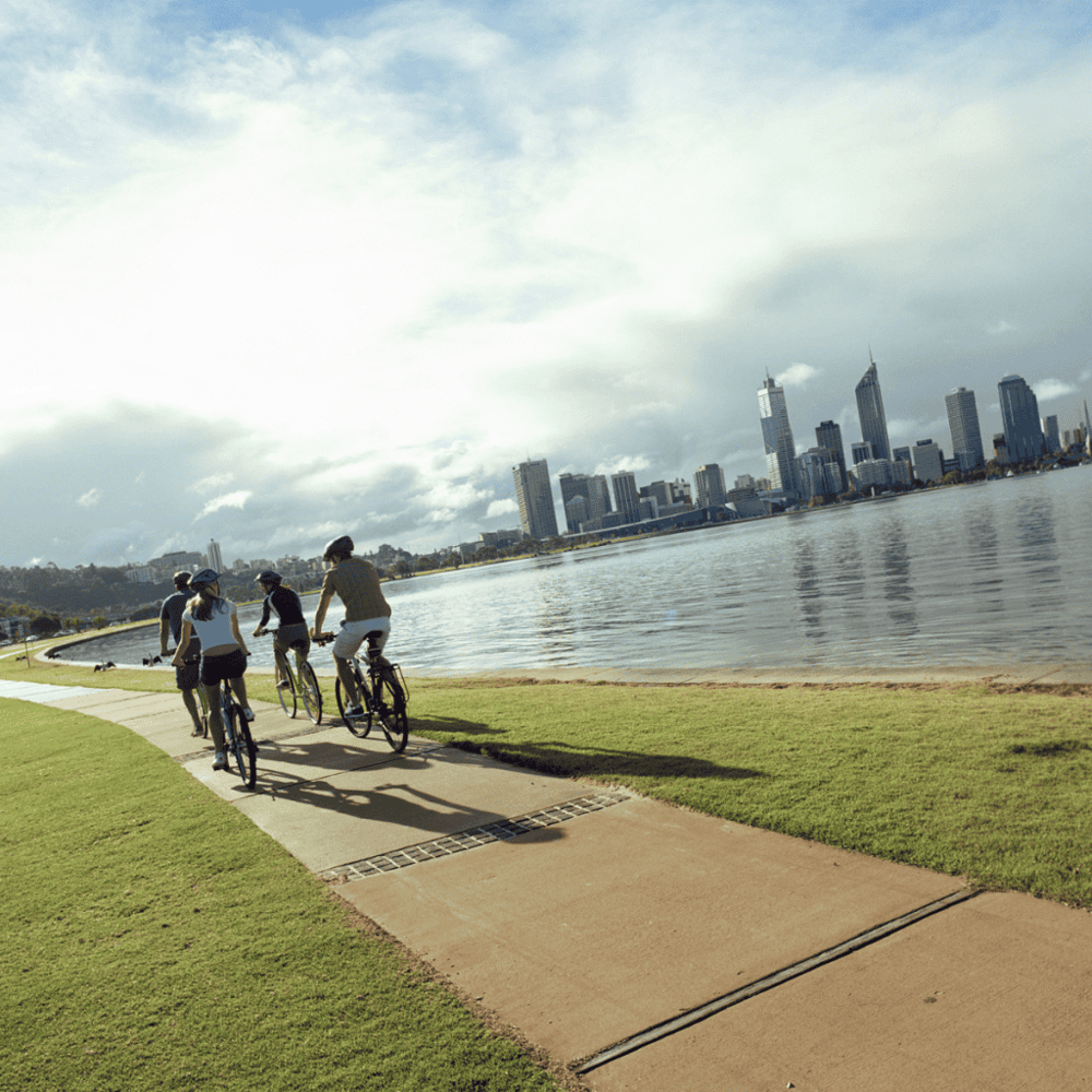 Pedal through the city