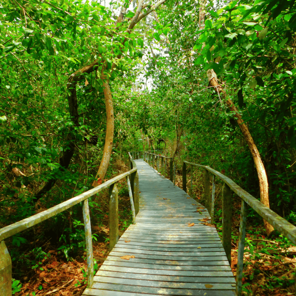 The Parklands of Floyds Fork