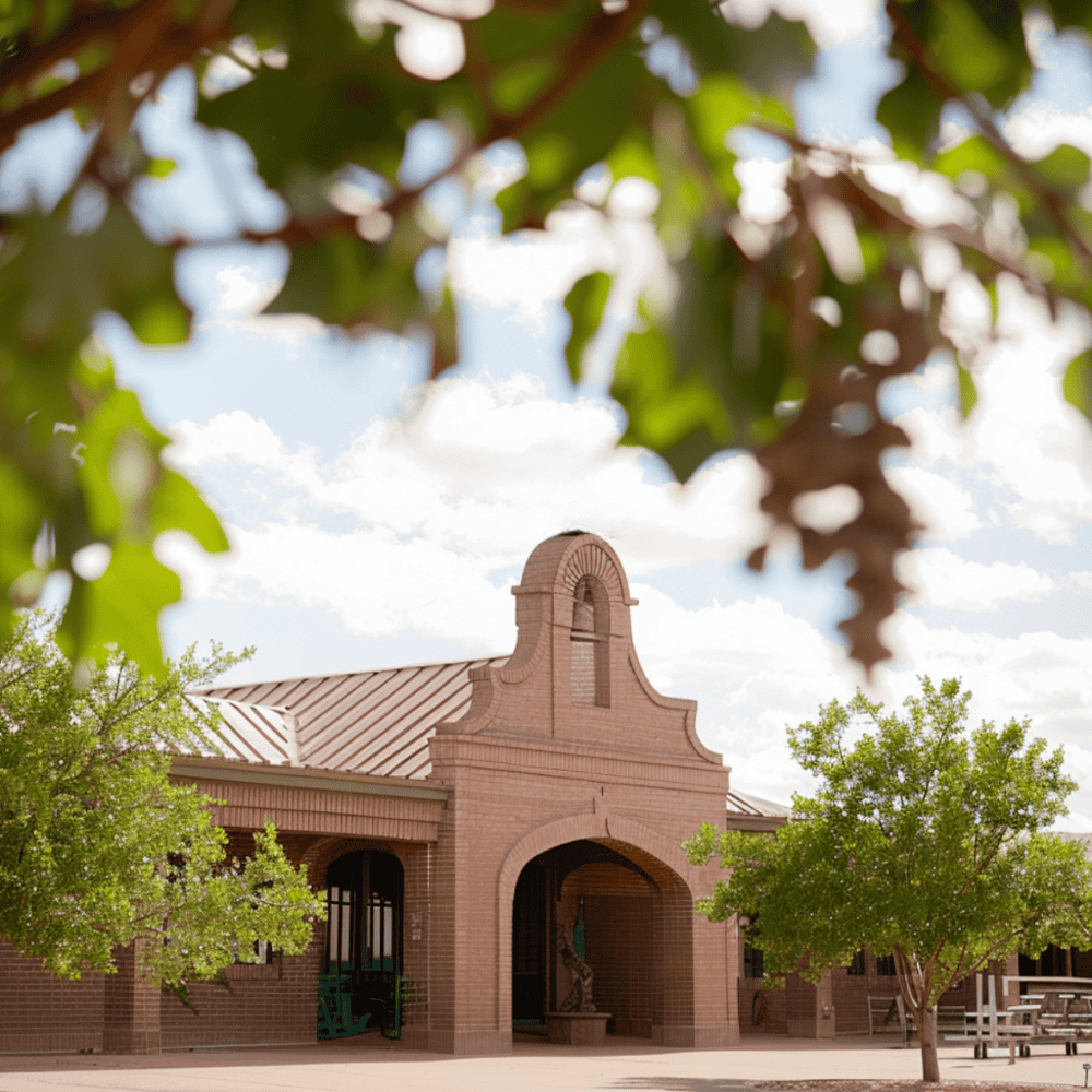 English Newsom Cellars