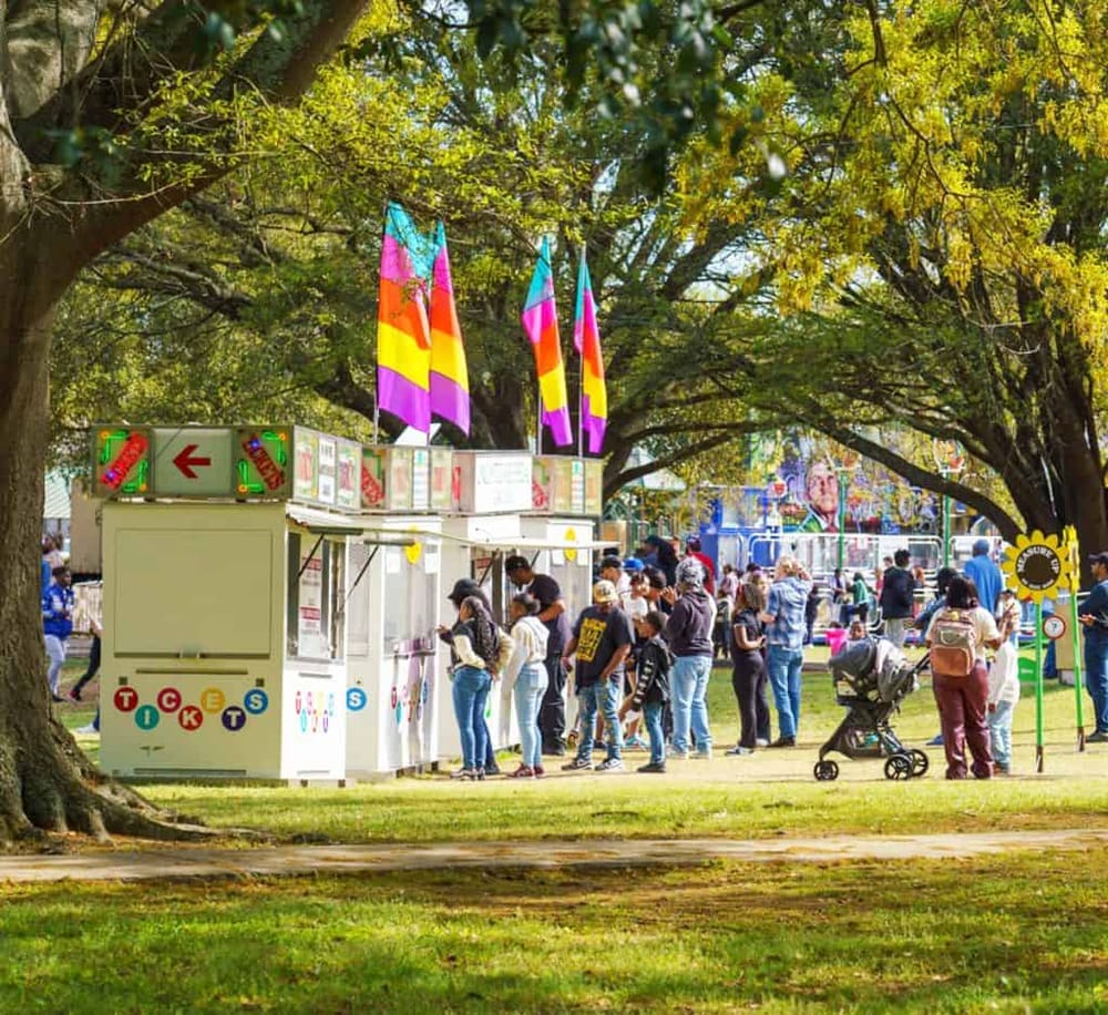 Cherry Blossom Festival