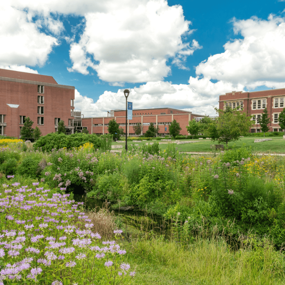 University of Wisconsin-Madison Arboretum