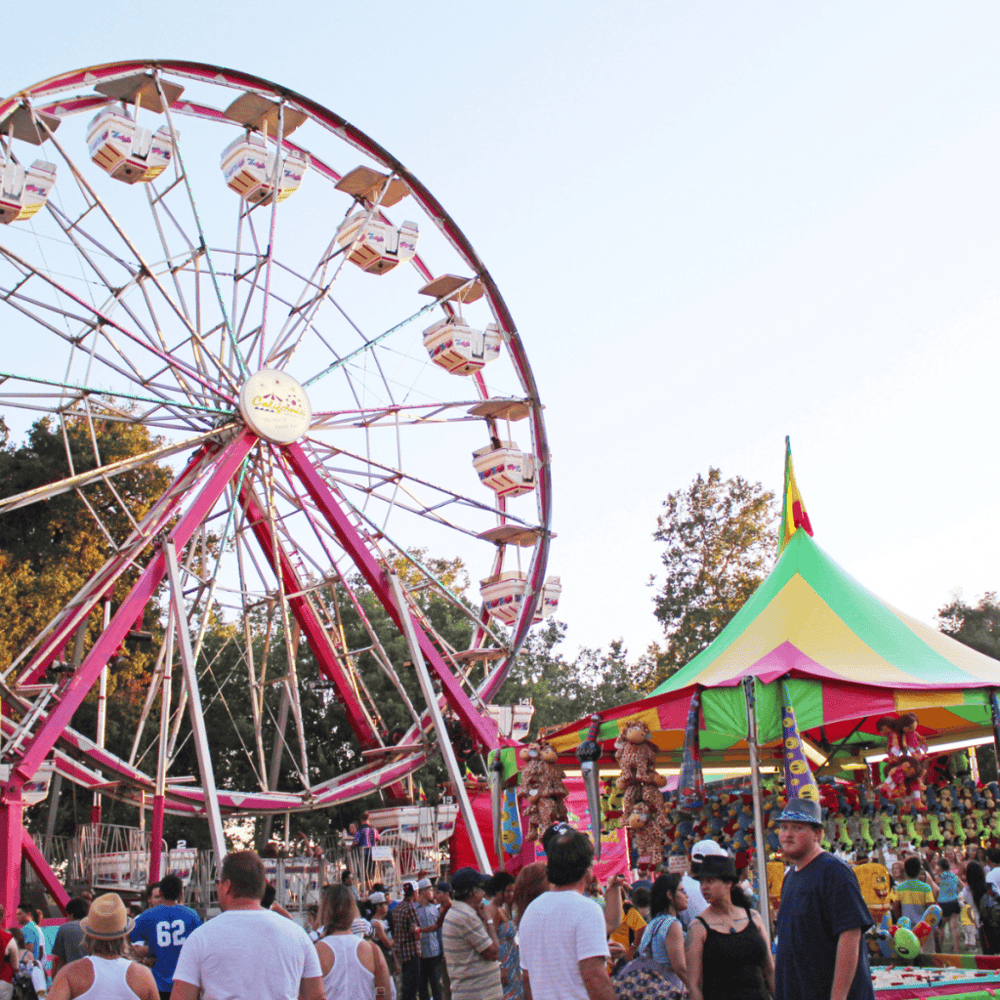 Dane County Fair