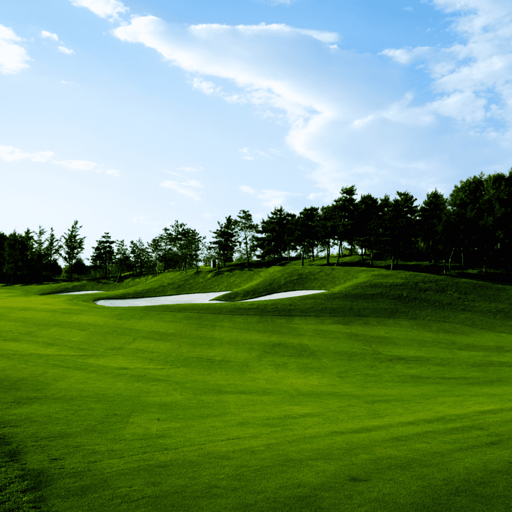 Oak Hollow Golf Course