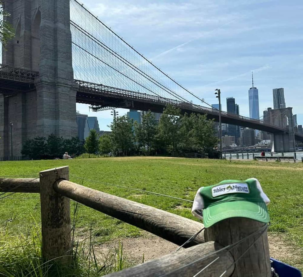 Sibley Nature Center