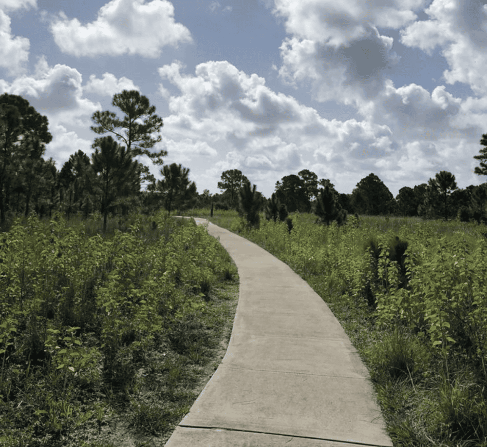 Miramar Pineland Park