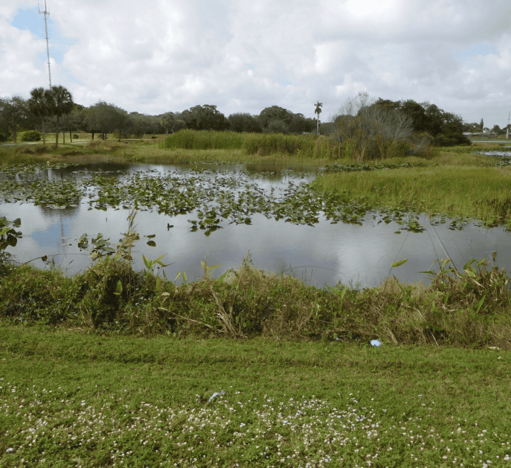 Snake Warrior's Island Natural Area