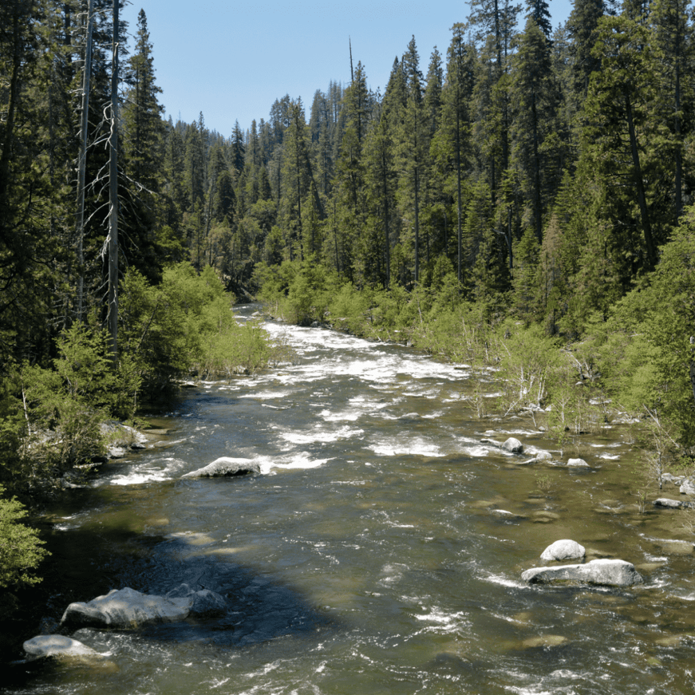 Stanislaus River