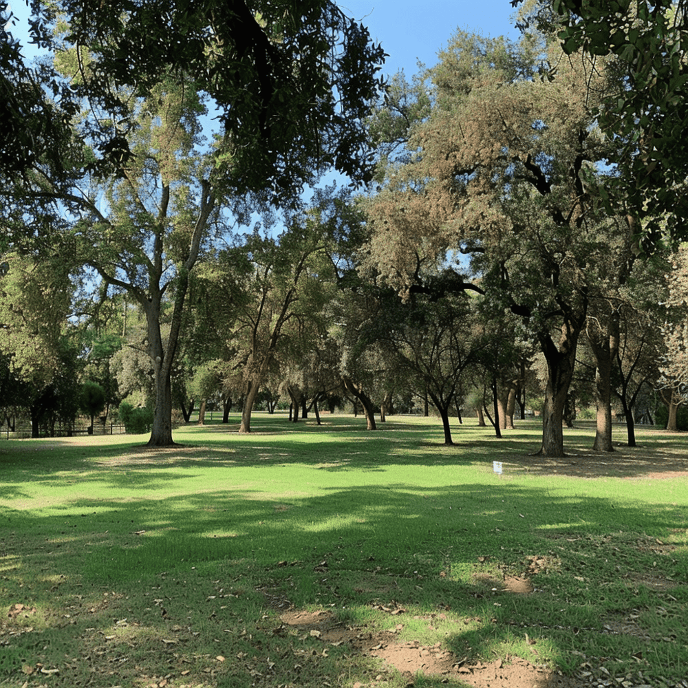 Tuolumne River Regional Park