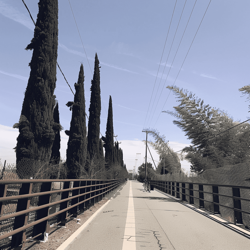 Virginia Corridor Trailway