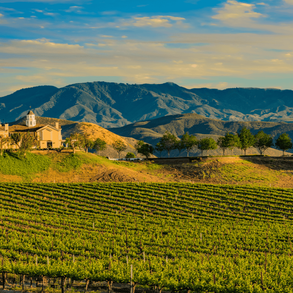 Temecula Valley