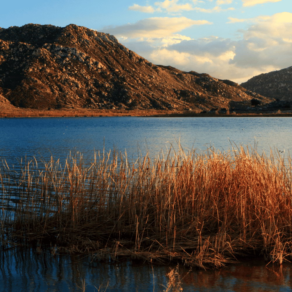 Lake Perris State Recreation Area