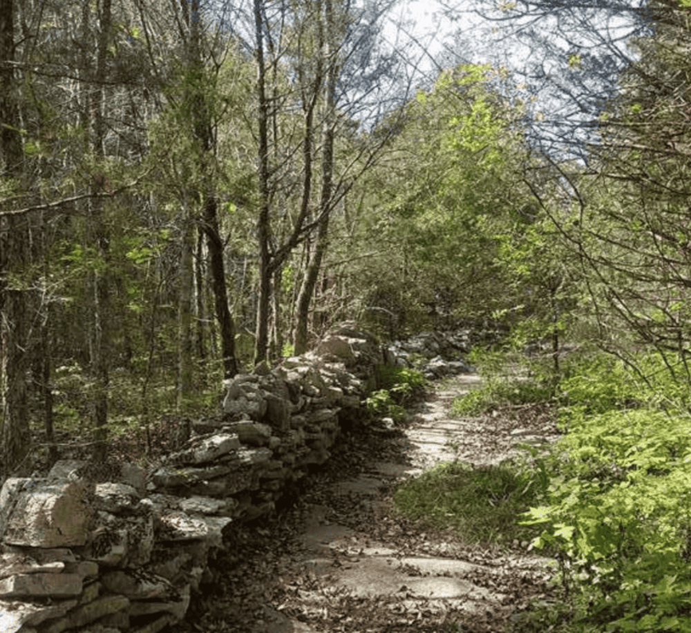 Barfield Crescent Park