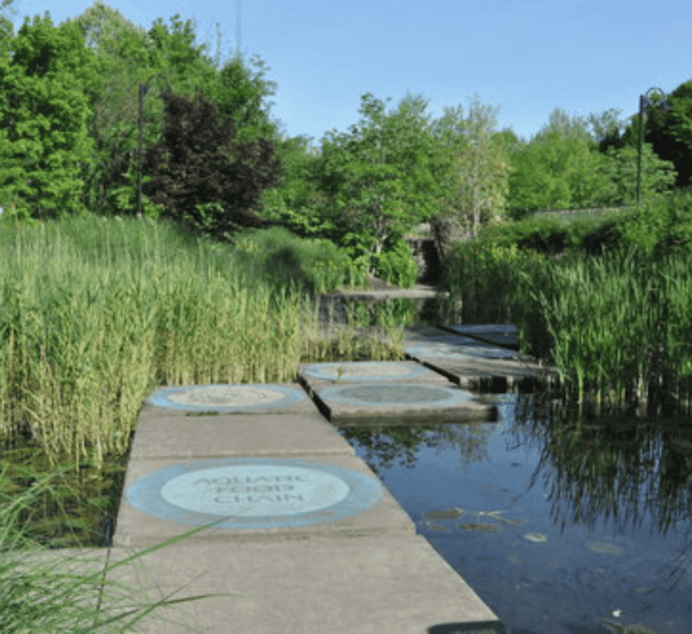 Murfree Spring Wetlands