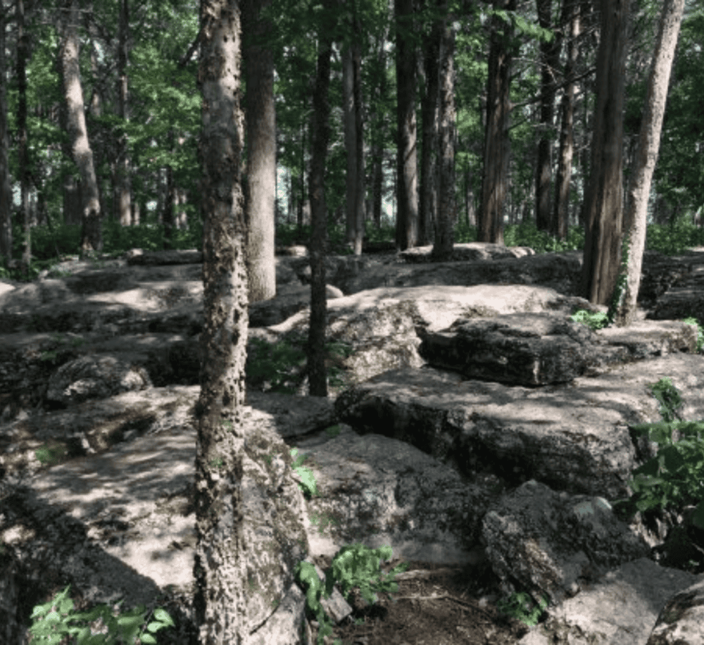 Stones River National Battlefield Trails