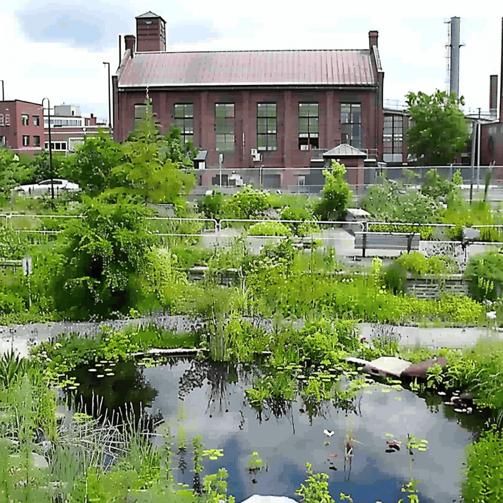 Greater Newark Conservancy