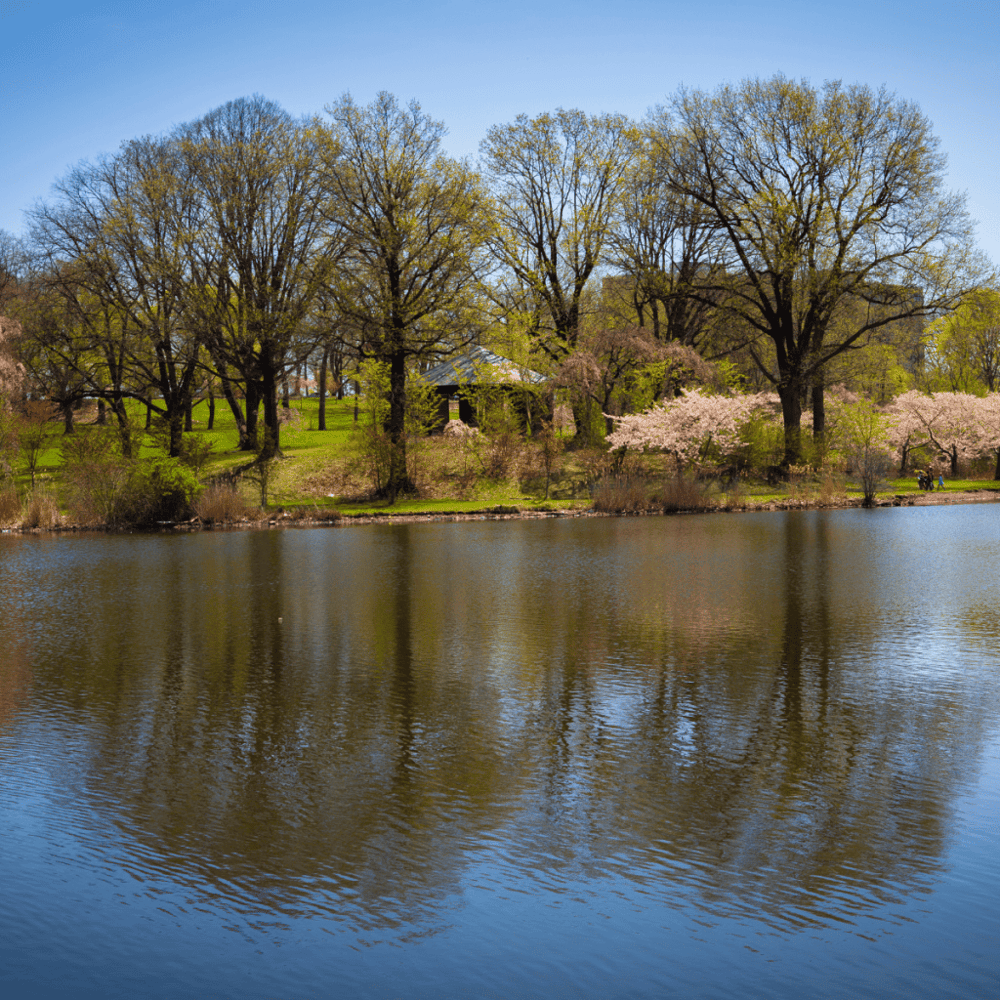 Branch Brook Park