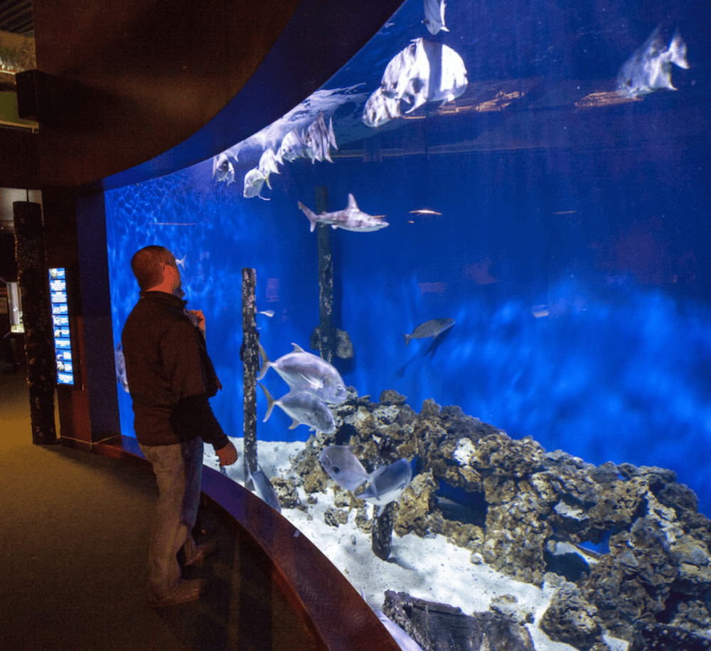 Virginia Living Museum