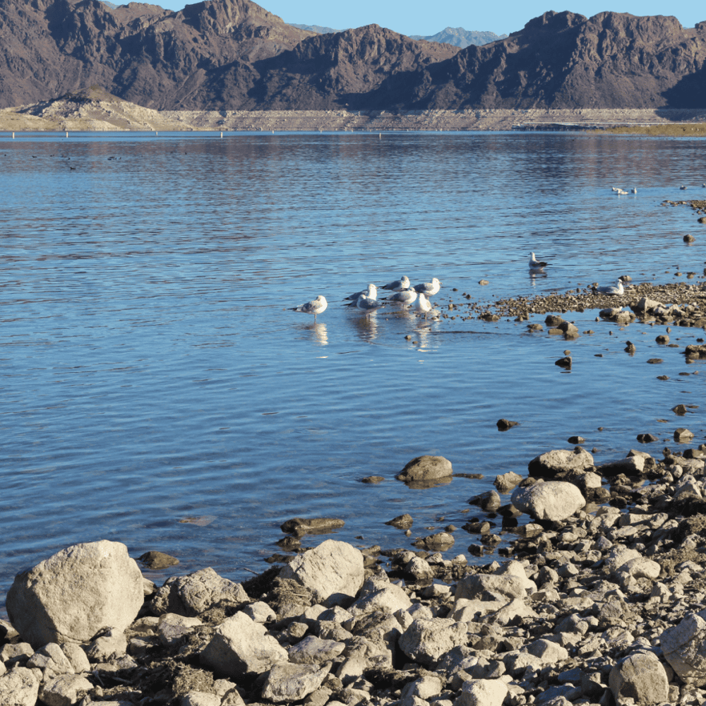 Lake Mead National Recreation Area