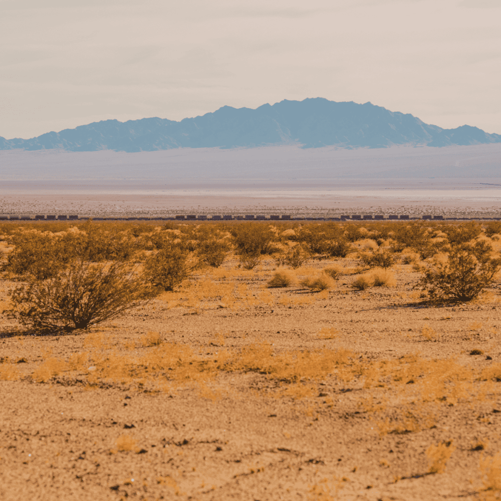 Mojave Desert