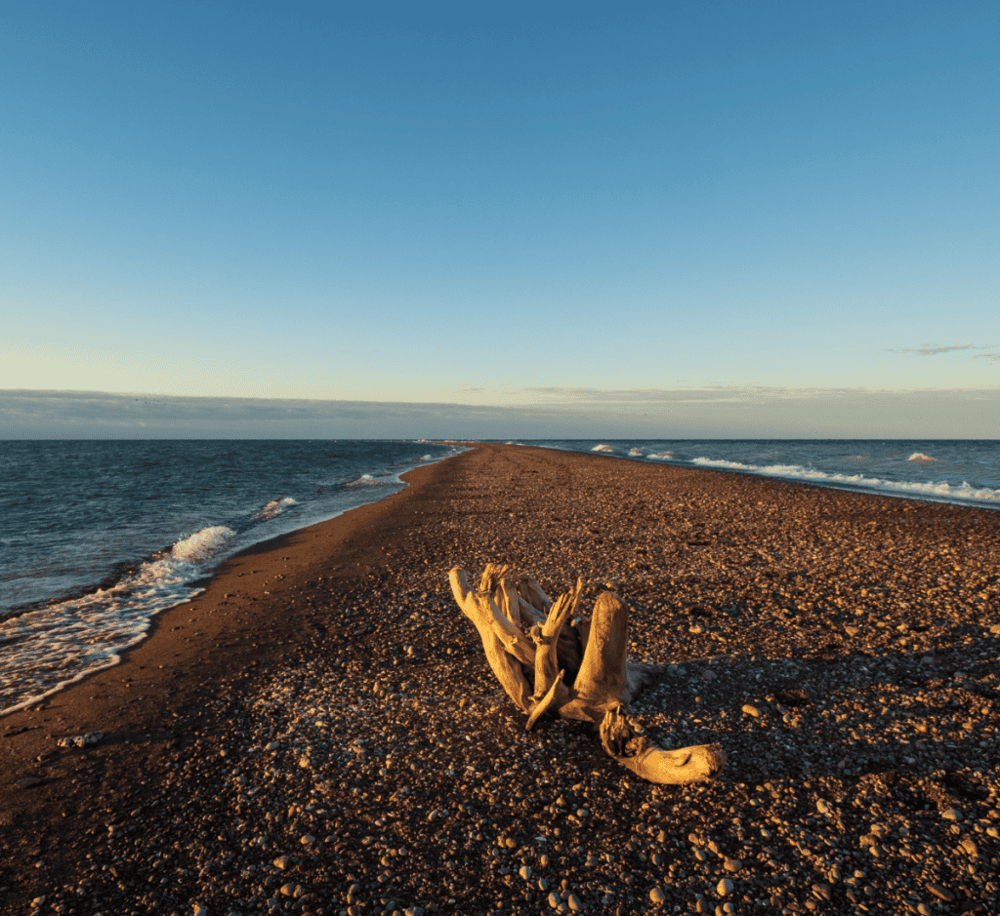 Point Pelee National Park