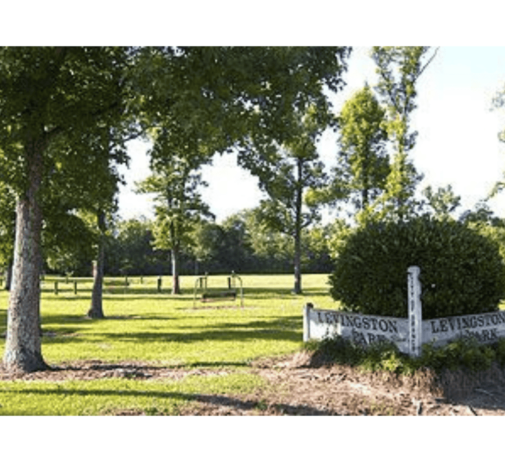 Levingston Park