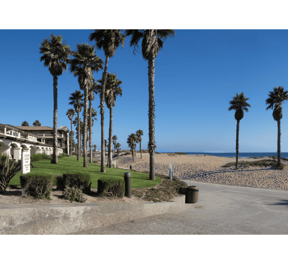 Mandalay State Beach