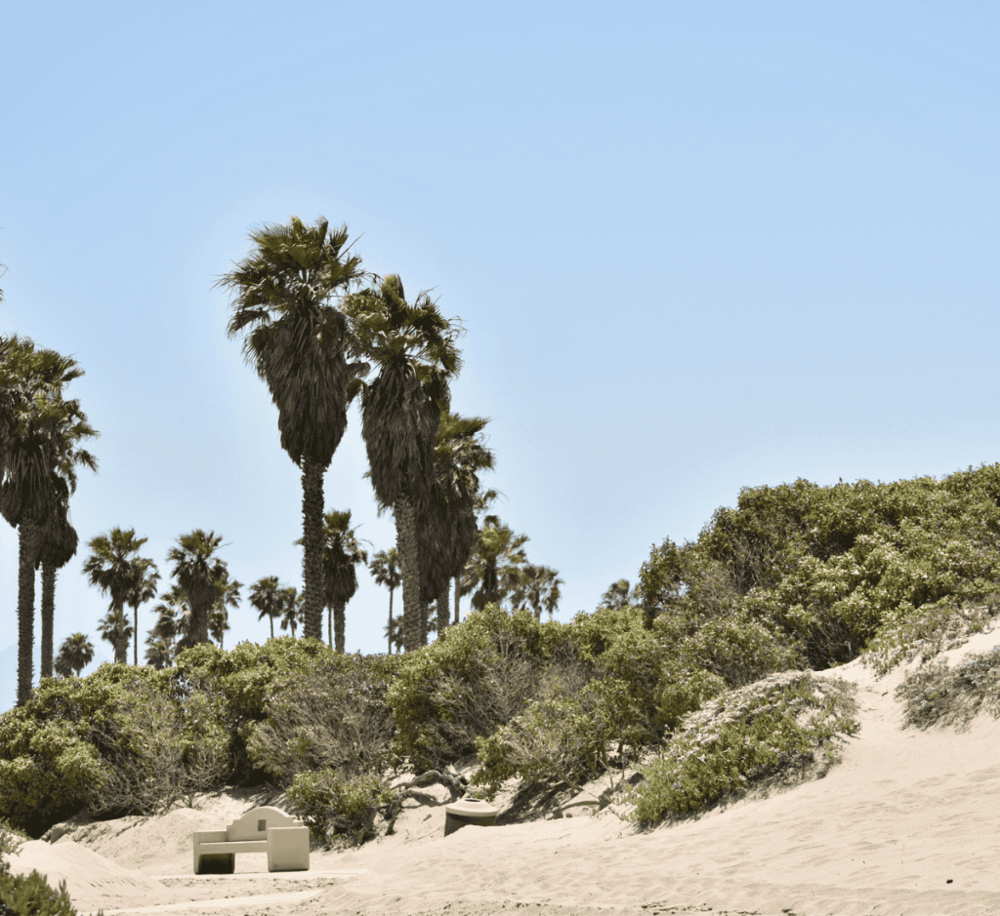 Oxnard State Beach and Park