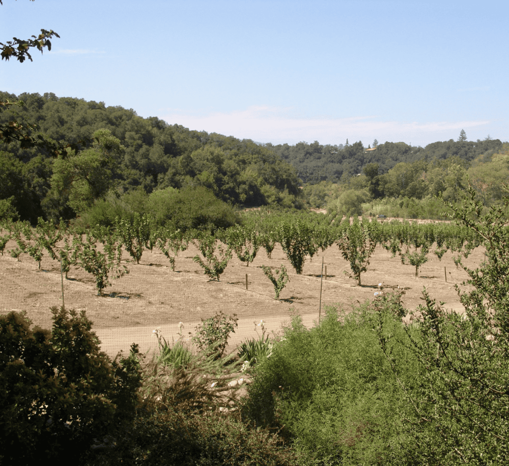 Ventura County Wine Trail