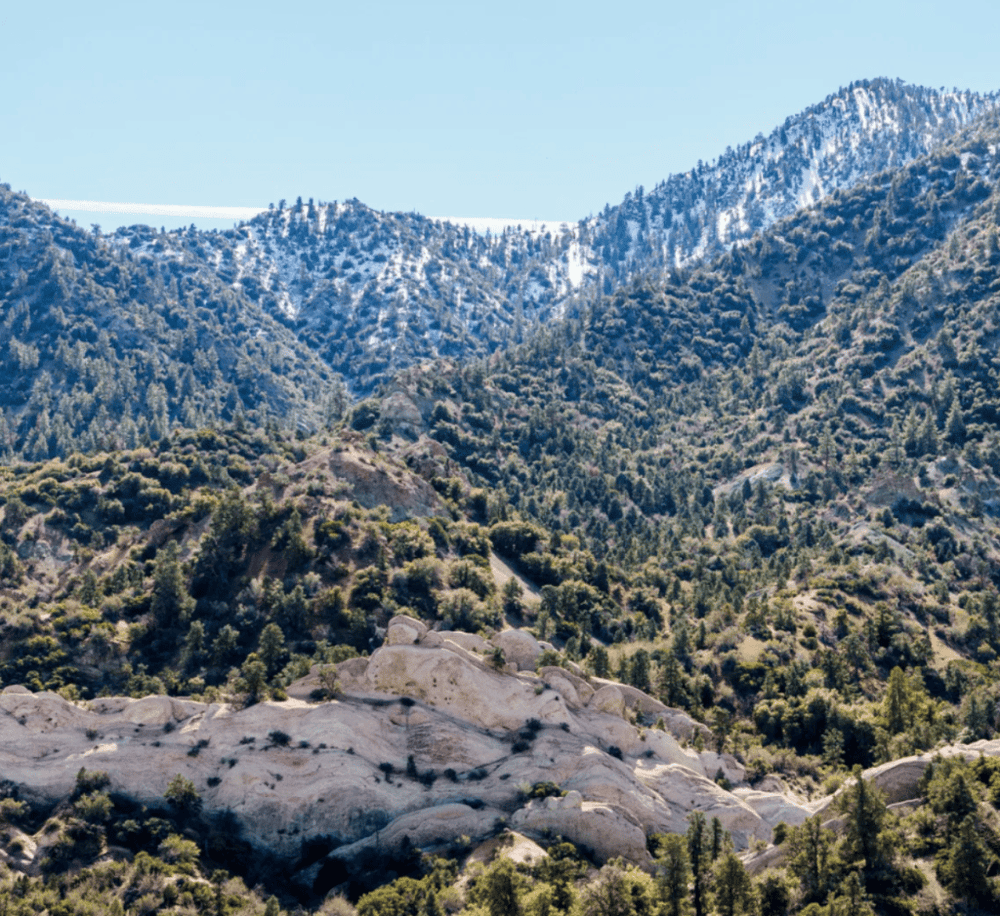 Angeles National Forest