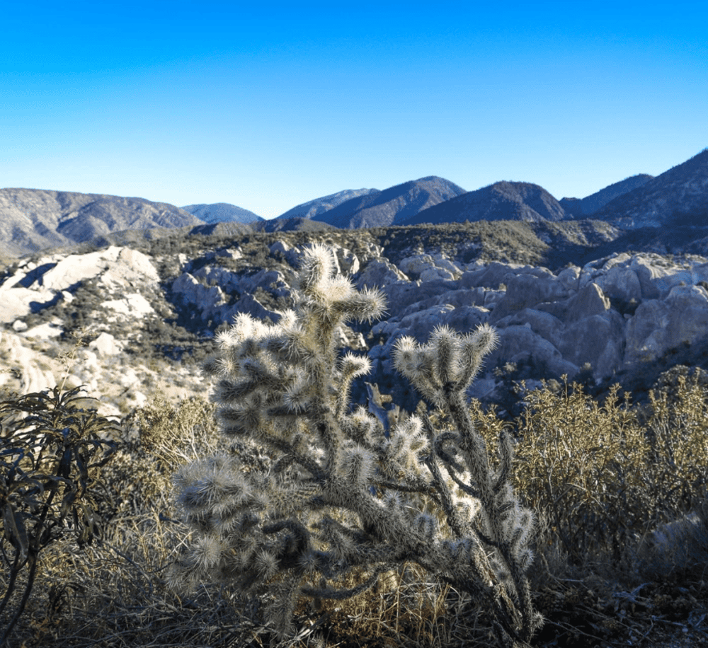 Devil's Punchbowl Natural Area