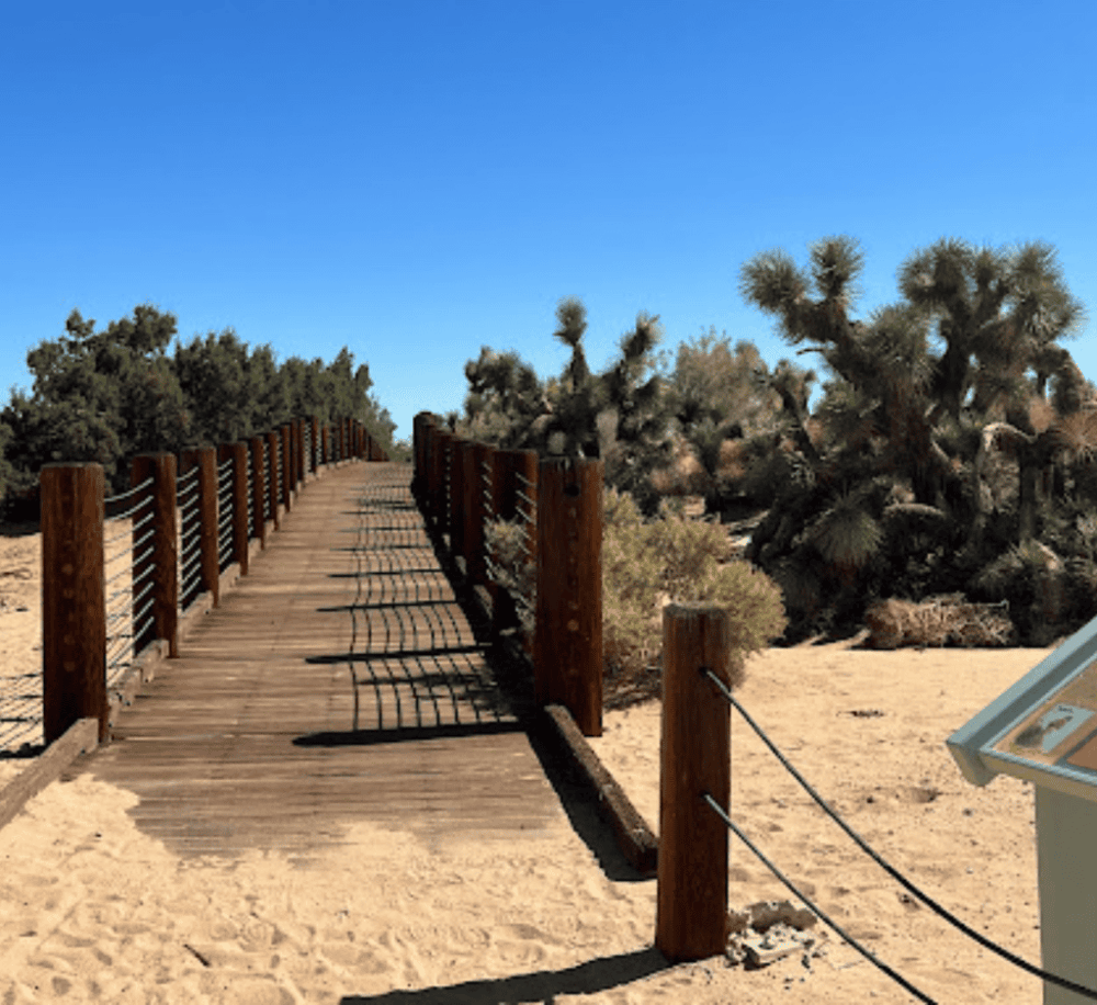 Prime Desert Woodland Preserve